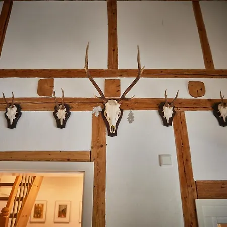 Holiday home Asten-lodge Winterberg