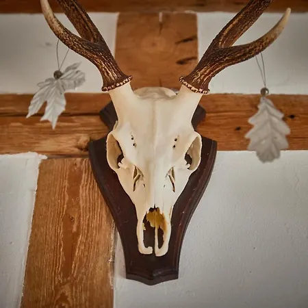 別荘 Asten-lodge *