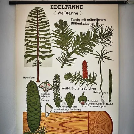 Asten-lodge Holiday home