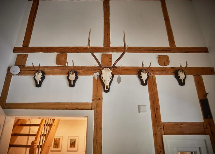 Prázdninový dům Asten-lodge Winterberg