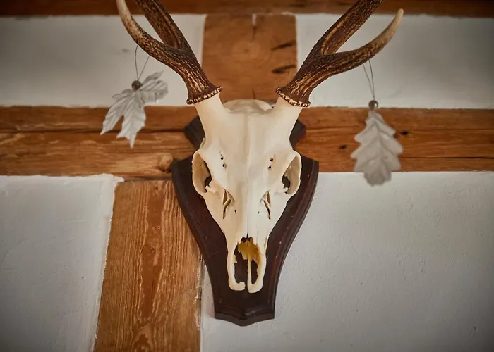 度假居 Asten-lodge *