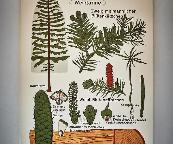 Asten-lodge Casa vacanze